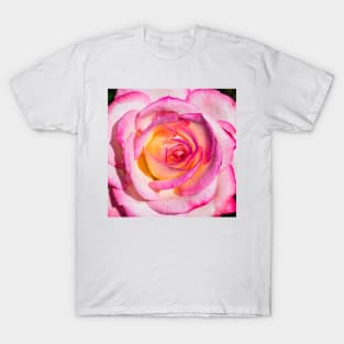 Rose Gold T-Shirt